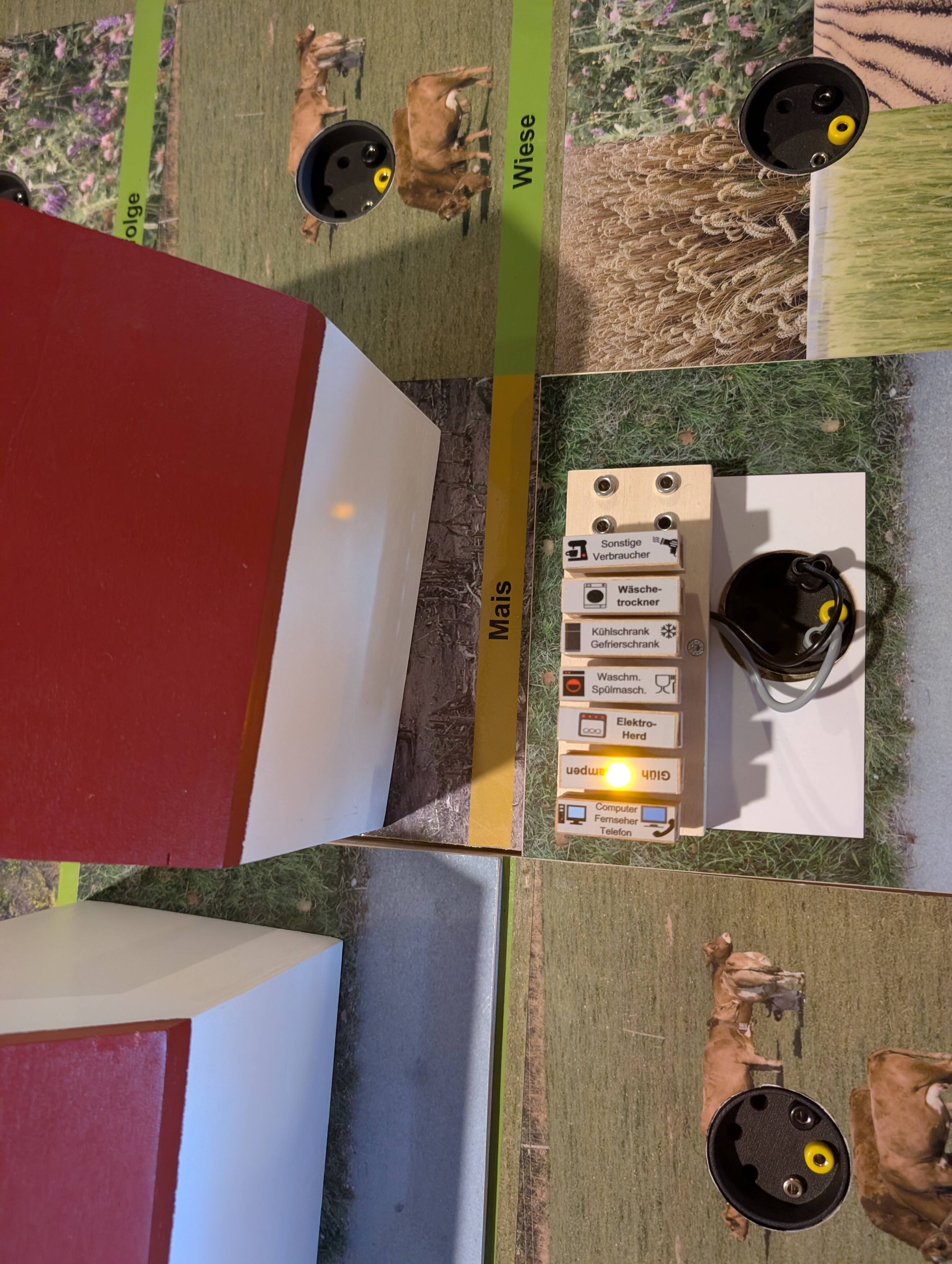 PXL 20260505 075421299